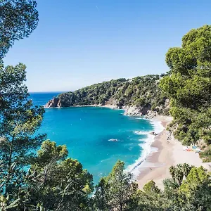 https://camping-cala-llevado.topcostabravahotels.com